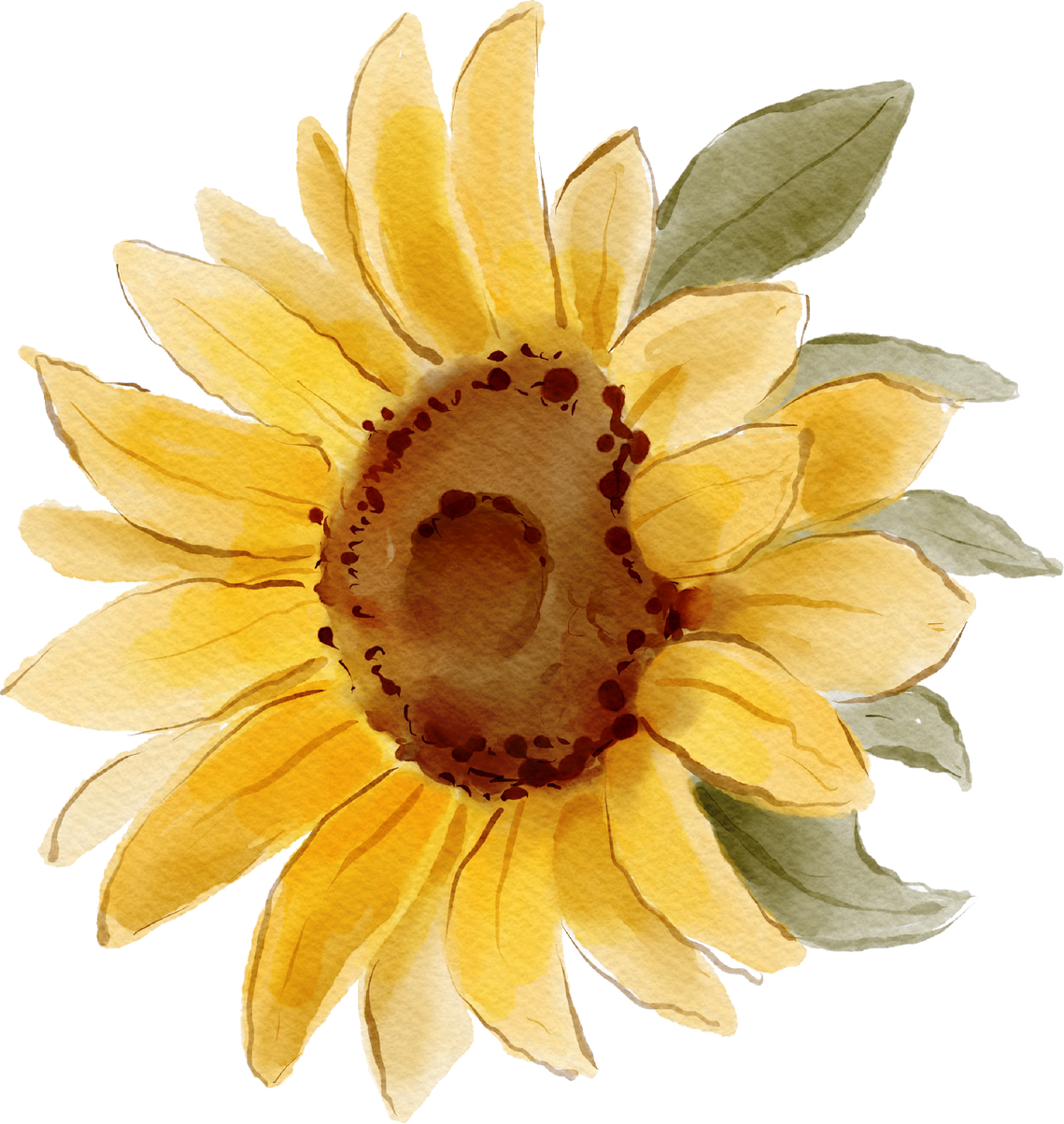 Watercolor Sunflower Illustration